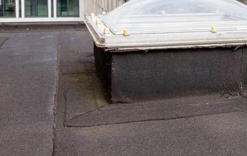 disadvantages of Low Whita flat roofs