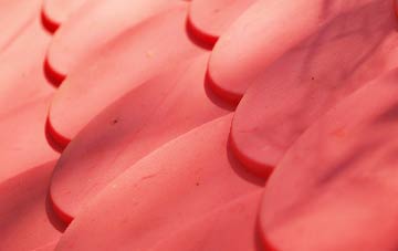 Low Whita plastic roof costs