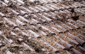 Low Whita roof cleaning companies