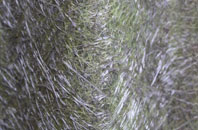 Low Whita fibreglass roof work